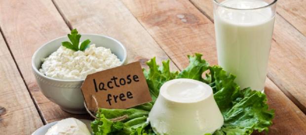 Derivati del latte delattosati senza carenze di nutrienti per intolleranti al lattosio. Derivati del latte delattosati senza carenze di nutrienti per intolleranti al lattosio.