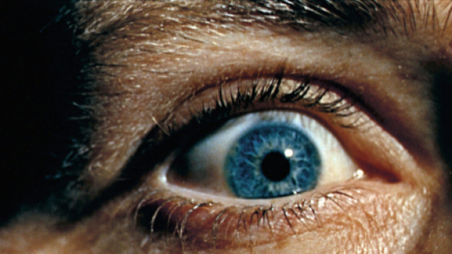 Les Acacias • Le Voyeur - acaciasfilms.com