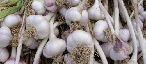 6 proprietà benefiche dell'aglio