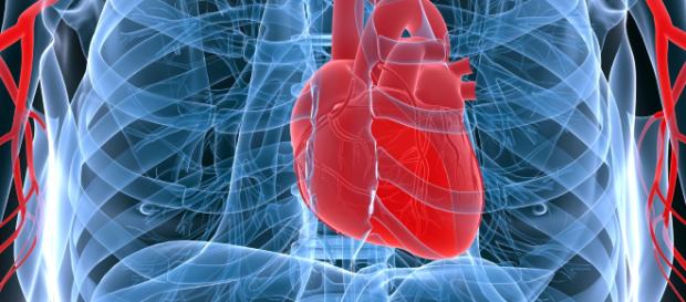 El sistema cardiovascular regula el tránsito sanguíneo. - blogspot.com El sistema cardiovascular regula el tránsito sanguíneo. - blogspot.com