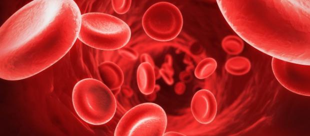 La sangre es un líquido vital del cuerpo humano. - supercurioso.com La sangre es un líquido vital del cuerpo humano. - supercurioso.com
