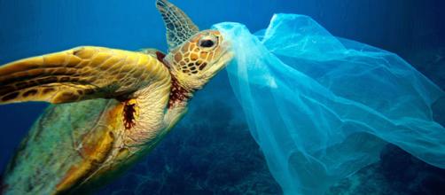 Millones de bolsas de plástico acaban en el mar todos los años y evitarlo es simple, llevar con nosotros nuestra propia bolsa de tela.