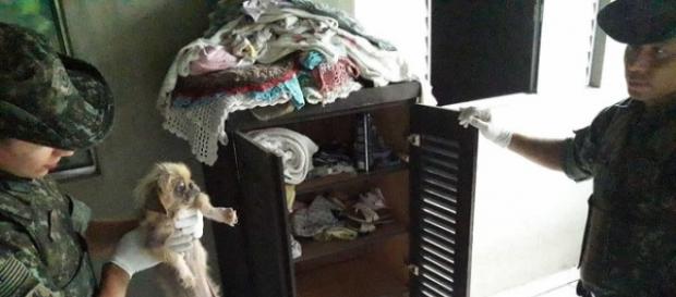 Mulher terá que pagar R$54 mil por maltratar animais. (Foto: Divulgação/ Polícia Militar Ambiental de Cananeia) Mulher terá que pagar R$54 mil por maltratar animais. (Foto: Divulgação/ Polícia Militar Ambiental de Cananeia)