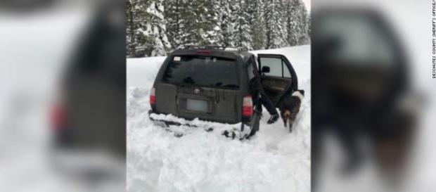 Hombre sobrevive atrapado en un coche con su perro Hombre sobrevive atrapado en un coche con su perro