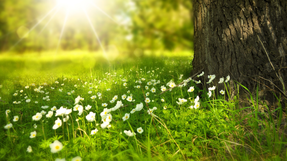 Oroscopo settimanale dall'1 al 7 aprile.