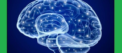 Nel cervello degli anziani c’è una riserva di cellule staminali dormienti che può essere riattivata, per riparare i danni dei neuroni cerebrali.