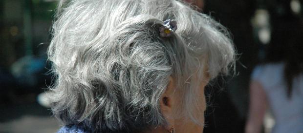 Pensioni, cresce il numero dei lavoratori anziani Pensioni, cresce il numero dei lavoratori anziani