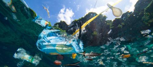 Vivere senza plastica: i rifiuti distruggono gli oceani