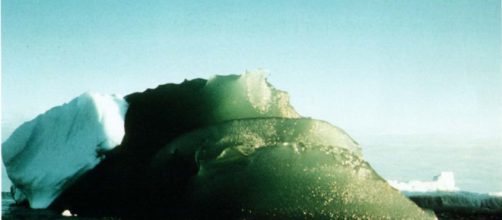 Mystery of green icebergs may soon be solved | UW News - washington.edu