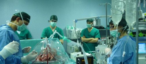 Padova, eccezionale trapianto: porzione di fegato si rigenera, salvo paziente non operabile