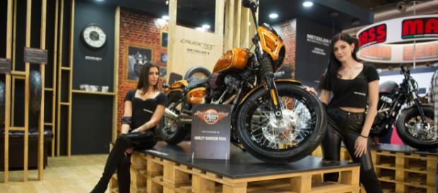 Softail Street Bob “La Jolla” di Max Pezzali by Harley-Davidson ... - quotidianomotori.com Softail Street Bob “La Jolla” di Max Pezzali by Harley-Davidson ... - quotidianomotori.com