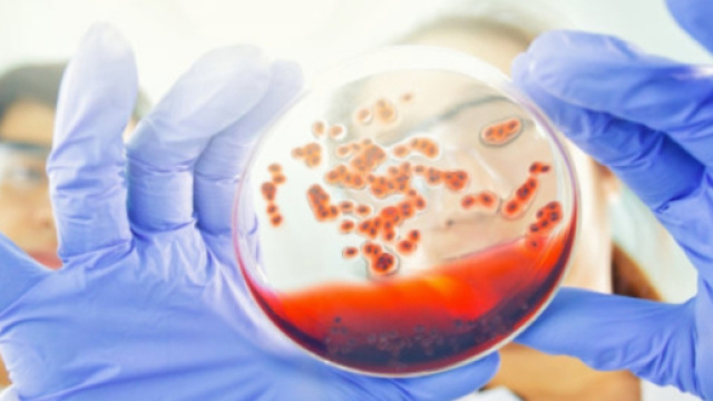 Il secondo caso di guarigione da HIV