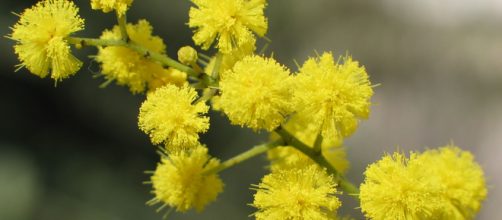 Festa della Donna: le battutine degli uomini