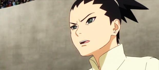 Shikadai esta considerando estudiar política y dejar de ser ninja un tiempo Shikadai esta considerando estudiar política y dejar de ser ninja un tiempo