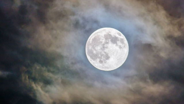 Oroscopo di domani 14 marzo 2019 | Luna in Cancro: previsioni, Astrologia e classifica stelline di giovedì
