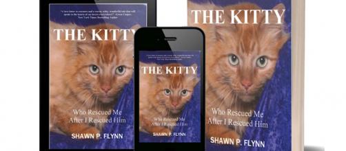 "THE KITTY" is a book by author Shawn Flynn about the cats he has rescued. / Image via Shawn Flynn, used with permission.