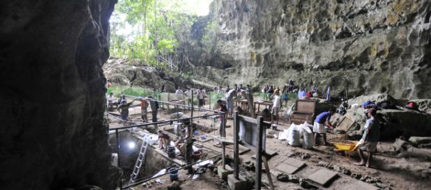 Homo luzonensis" : découverte d'une nouvelle espèce humaine Homo luzonensis" : découverte d'une nouvelle espèce humaine