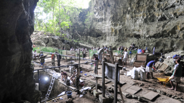 Homo luzonensis" : découverte d'une nouvelle espèce humaine