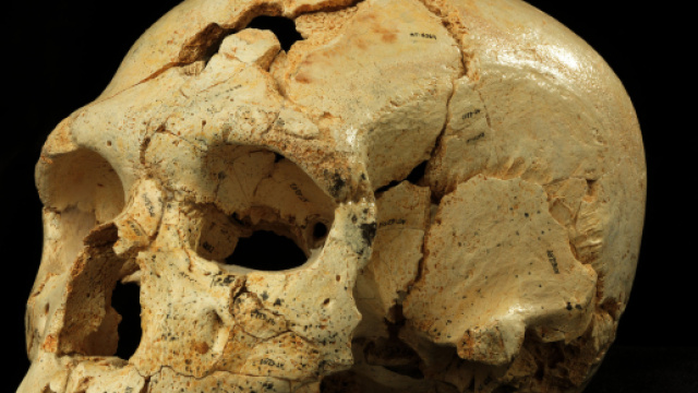 Spagna, il giacimento paleoantropologico di Atapuerca: patrimonio ... - meteoweb.eu