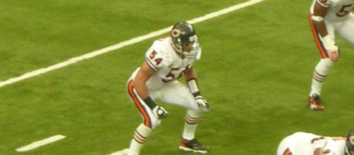Brian Urlacher was inducted into the Hall of Fame in 2018. [Image Source: Flickr | william.montross]