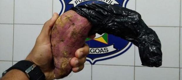 Suspeito criou arma de batata-doce. (Divulgação/Polícia Civil Alagoas) Suspeito criou arma de batata-doce. (Divulgação/Polícia Civil Alagoas)