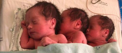 Terceiro bebê não foi identificado em nenhum dos quatro exames de ultrassom. (Arquivo Blasting News)