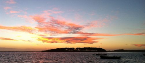 Porto Cesareo, sono troppi i conigli sull'isola Grande: il caso finisce in Procura