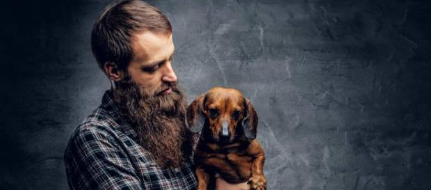Estudo revela que barba possui mais germes que o pelo do cachorro. (Arquivo Blasting News) Estudo revela que barba possui mais germes que o pelo do cachorro. (Arquivo Blasting News)