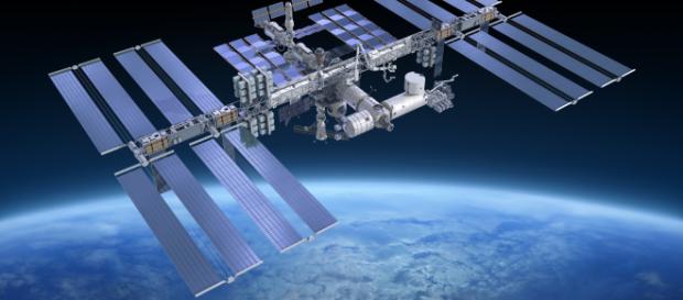 I topi sulla stazione spaziale si comportano in modo strano - meteoweb.eu I topi sulla stazione spaziale si comportano in modo strano - meteoweb.eu