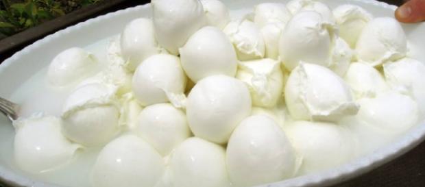 Napoli, sequestrata mozzarella di bufala e pane pericoloso per la salute Napoli, sequestrata mozzarella di bufala e pane pericoloso per la salute