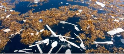 A sea of plastic: Shocking images show how bottles, bags and rubbish are choking our oceans. [Image source/Check Facts 360 YouTube video]