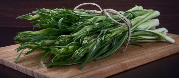 Fibre come inulina propionato e inulina hanno un'azione insulino sensibilizzante e favoriscono l'eubiosi intestinale. Fibre come inulina propionato e inulina hanno un'azione insulino sensibilizzante e favoriscono l'eubiosi intestinale.