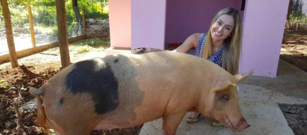 Paula é dona de Pippa. (Arquivo Blasting News) Paula é dona de Pippa. (Arquivo Blasting News)