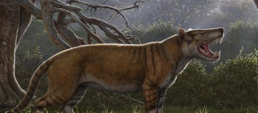 Simbakubwa, il 'leone gigante' più grande dell'orso polare - sapeople.com