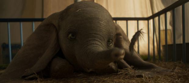 DUMBO tuvo la peor apertura de Disney DUMBO tuvo la peor apertura de Disney