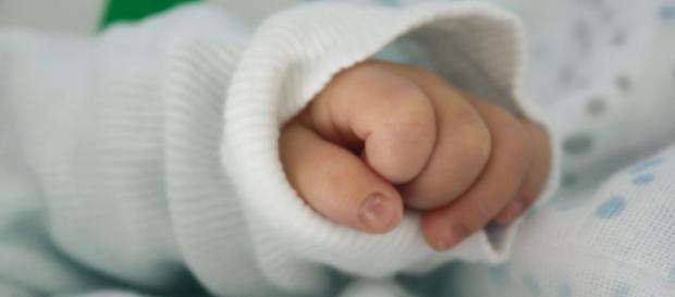 Bari, partorisce da sola in casa chiusa in bagno: neonato muore Bari, partorisce da sola in casa chiusa in bagno: neonato muore