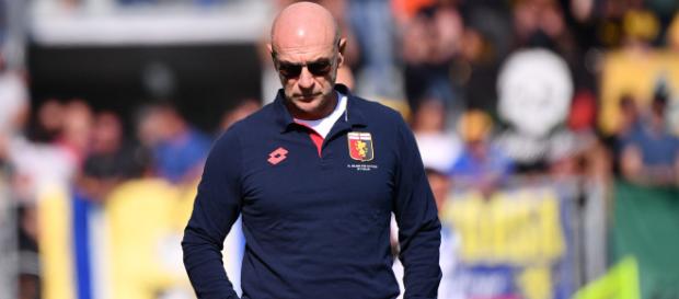 Genoa, Preziosi verso l'esonero di Prandelli: può tornare Ballardini Genoa, Preziosi verso l'esonero di Prandelli: può tornare Ballardini