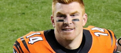 Andy Dalton might be replaced relatively soon [Image via Jeffrey Beall/Wikimedia Commons]