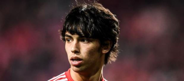 Joao Felix (sito: foxsports.it) Joao Felix (sito: foxsports.it)