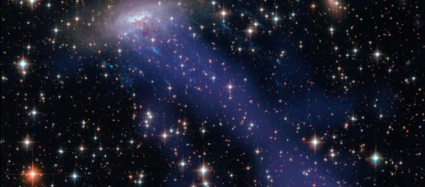 NASA scopre una gigantesca 'medusa' nello spazio. NASA scopre una gigantesca 'medusa' nello spazio.
