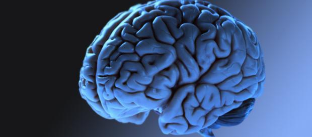 Si risveglia dal coma dopo 27 anni Si risveglia dal coma dopo 27 anni