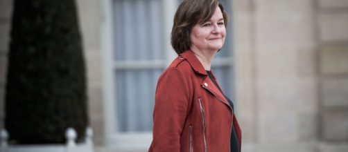 Européennes : les atouts et les faiblesses de Nathalie Loiseau ... - lejdd.fr