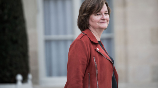 Européennes : les atouts et les faiblesses de Nathalie Loiseau ... - lejdd.fr