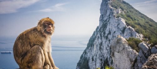 Gibraltar podría ser considerada "colonia"