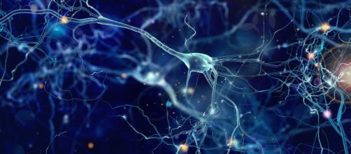 Entendiendo las redes neuronales: De la neurona a RNN, CNN y Deep ... - ia-latam.com