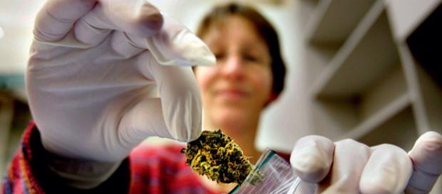 Medizinalcannabis: Die Zahl der Anträge nimmt zu - aerzteblatt.de Medizinalcannabis: Die Zahl der Anträge nimmt zu - aerzteblatt.de