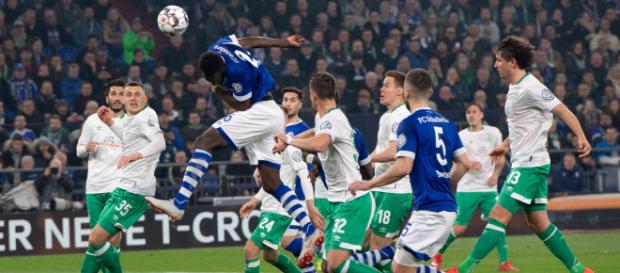 Schalke 04 - Werder Bremen: die Bilder des Spiels - rp-online.de Schalke 04 - Werder Bremen: die Bilder des Spiels - rp-online.de