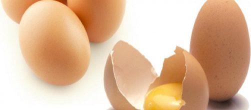 A cor da gema do ovo é alterada por causa das substâncias no alimento das galinhas. (Arquivo Blasting News)