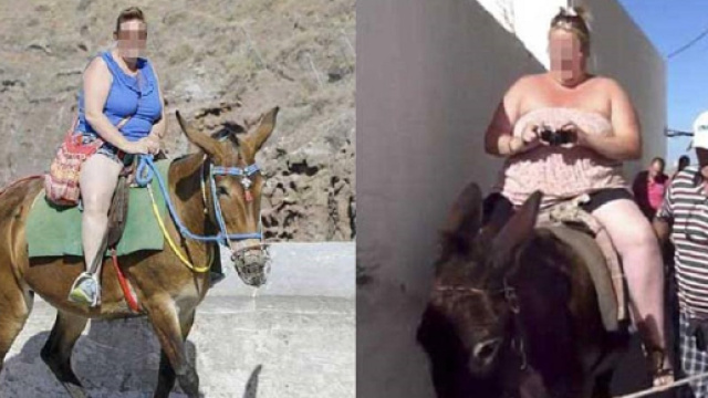 Santorini, appello del sindaco ai turisti obesi: «Scendete dagli asinelli e andate a piedi» - Tpi.it
