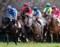 Magnificent Racehorses released in build up to Grand National
